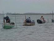 �摜��}�����܂��B